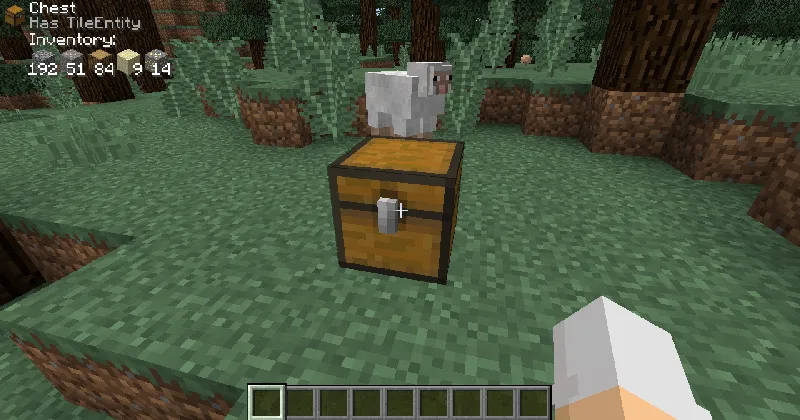 Block Display, Моды, Minecraft