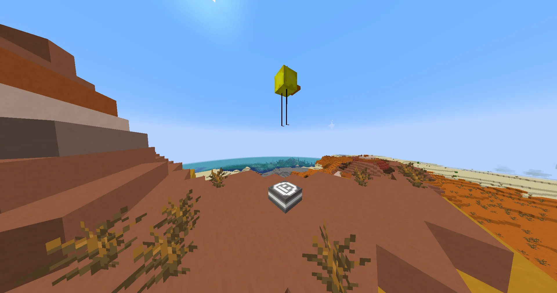 Ducks&Decor, Моды, Minecraft