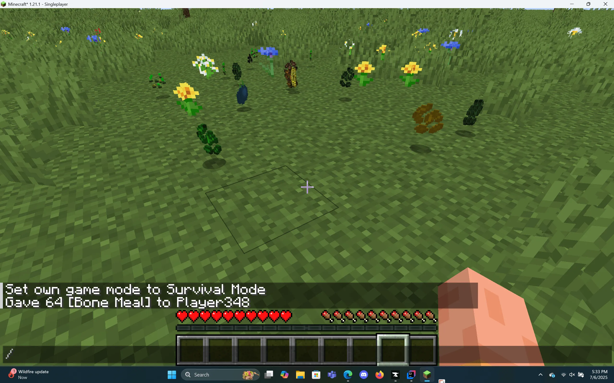 Cropville, Моды, Minecraft