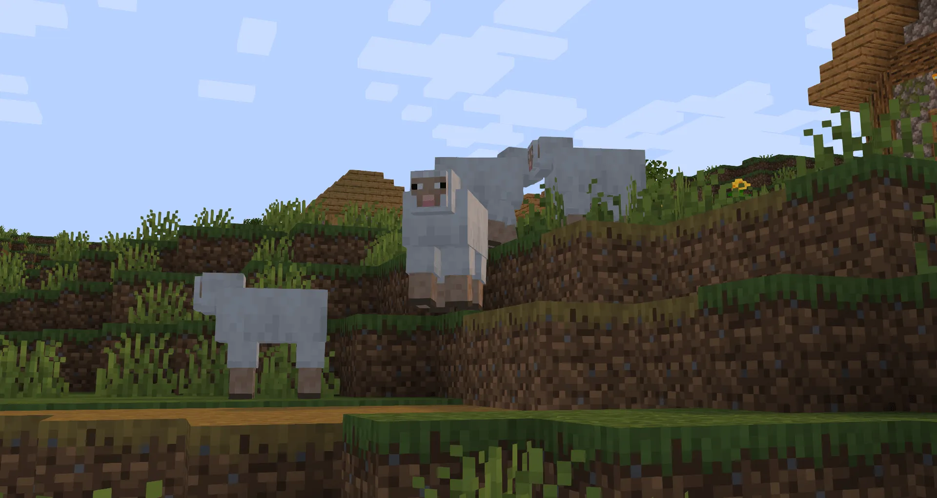 Pumpkin, Шейдеры, Minecraft