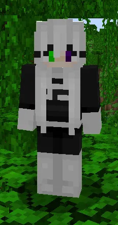 Phantom Accessories, Моды, Minecraft