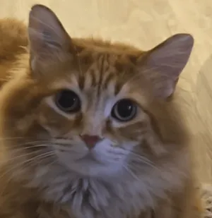 AIT Extras, Моды, Minecraft