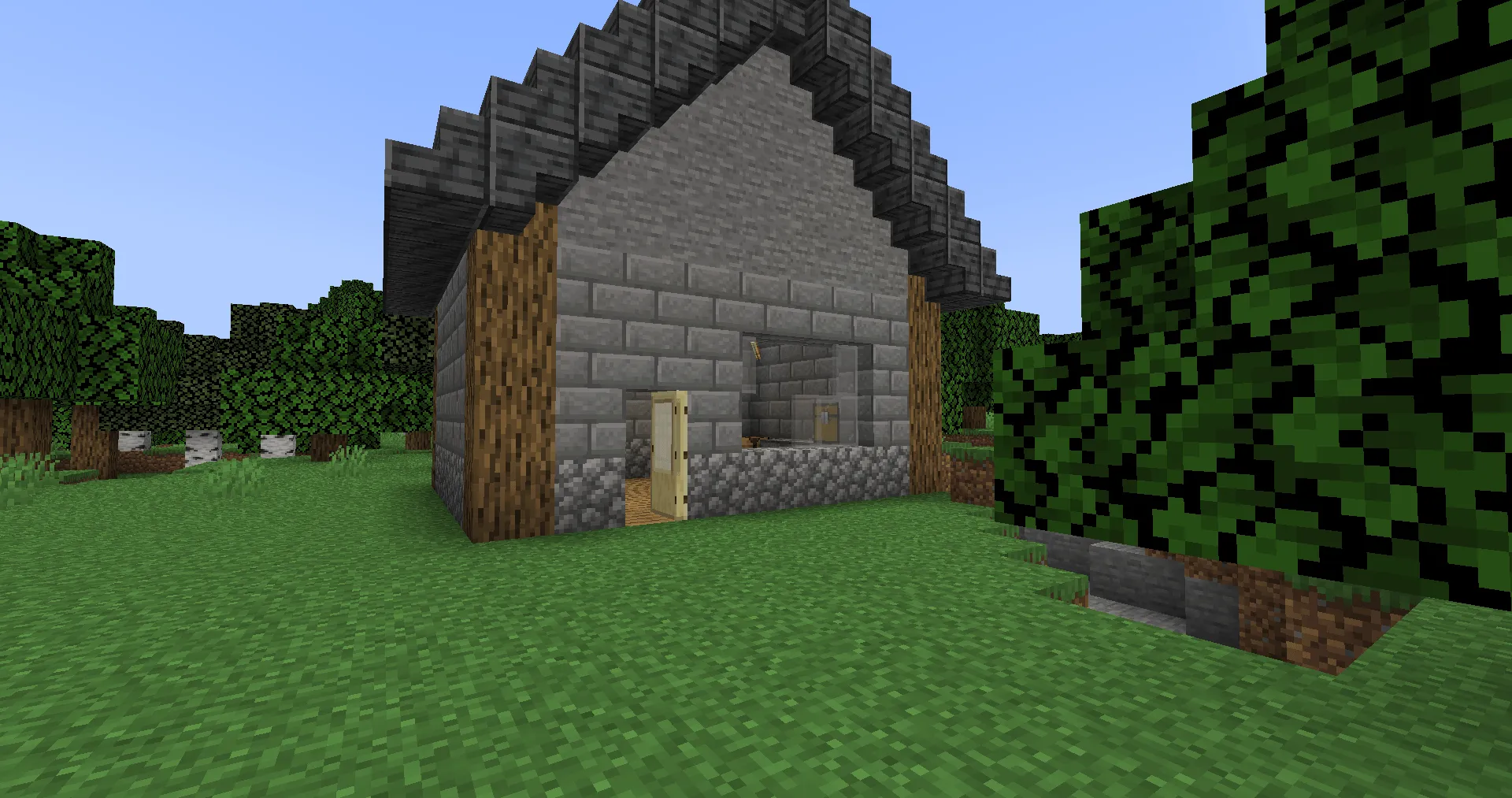 WITD, Моды, Minecraft