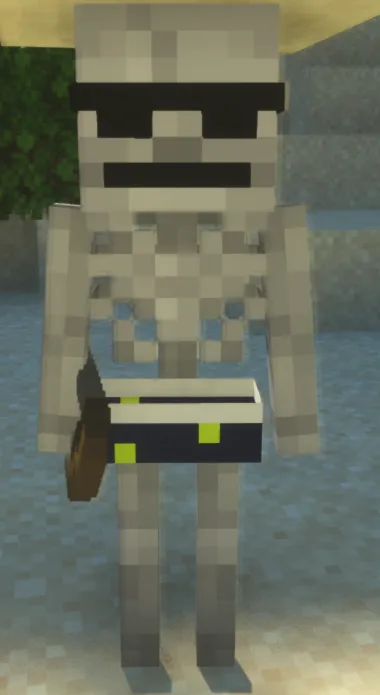 Raffie's dum resource pack, Текстуры, Minecraft