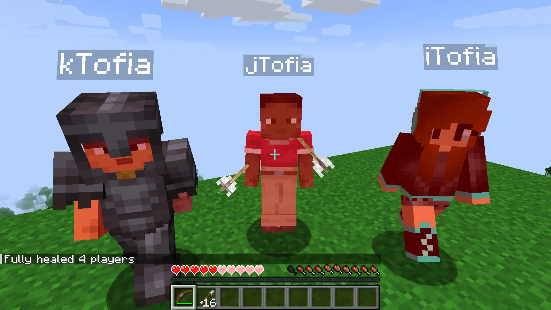 Shared Hits, Моды, Minecraft