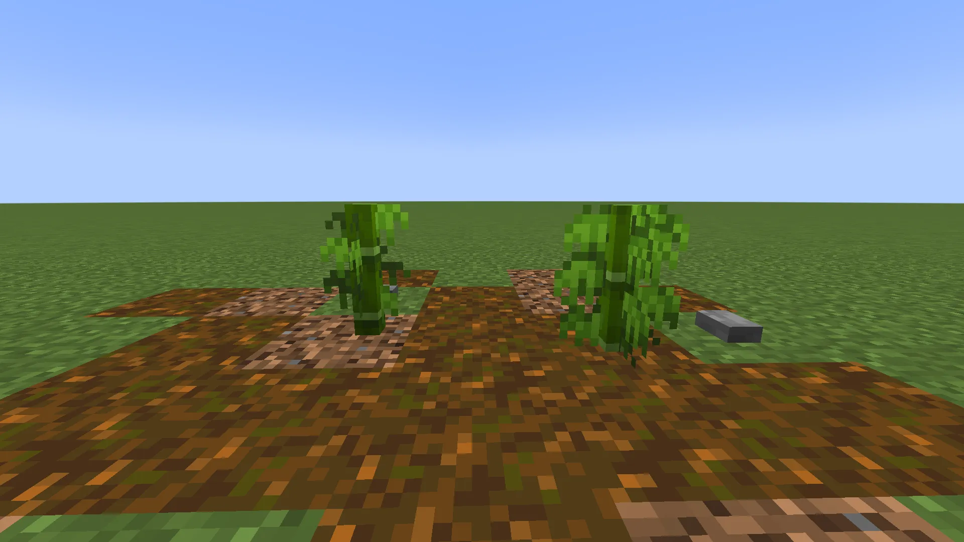 Bamboo Bushy Leaves — скриншот 2 (Текстуры, Minecraft)