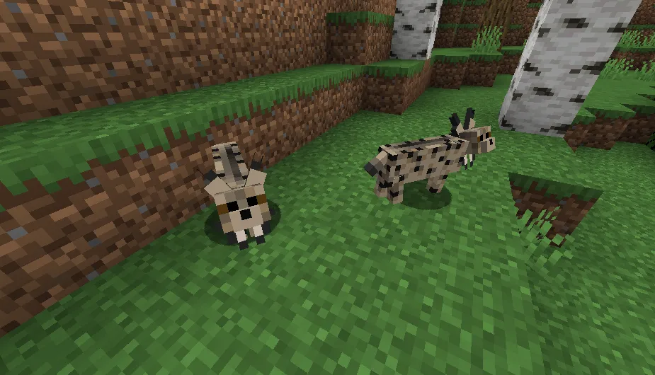 some cats and wild cats, Текстуры, Minecraft