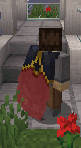 Elytra Variations (Ely+) — скриншот 2 (Текстуры, Minecraft)