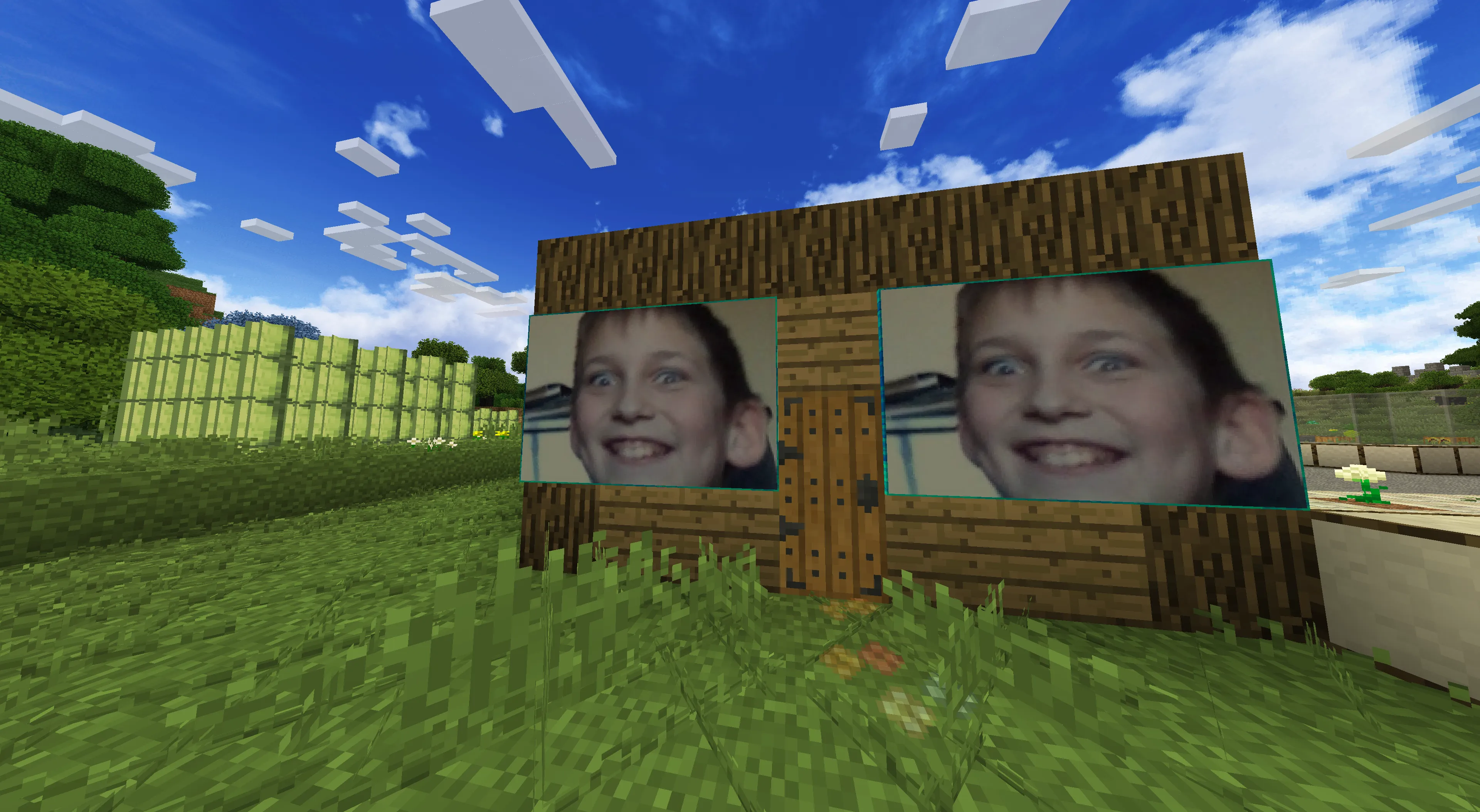 DO NOT DISABLE — скриншот 6 (Текстуры, Minecraft)
