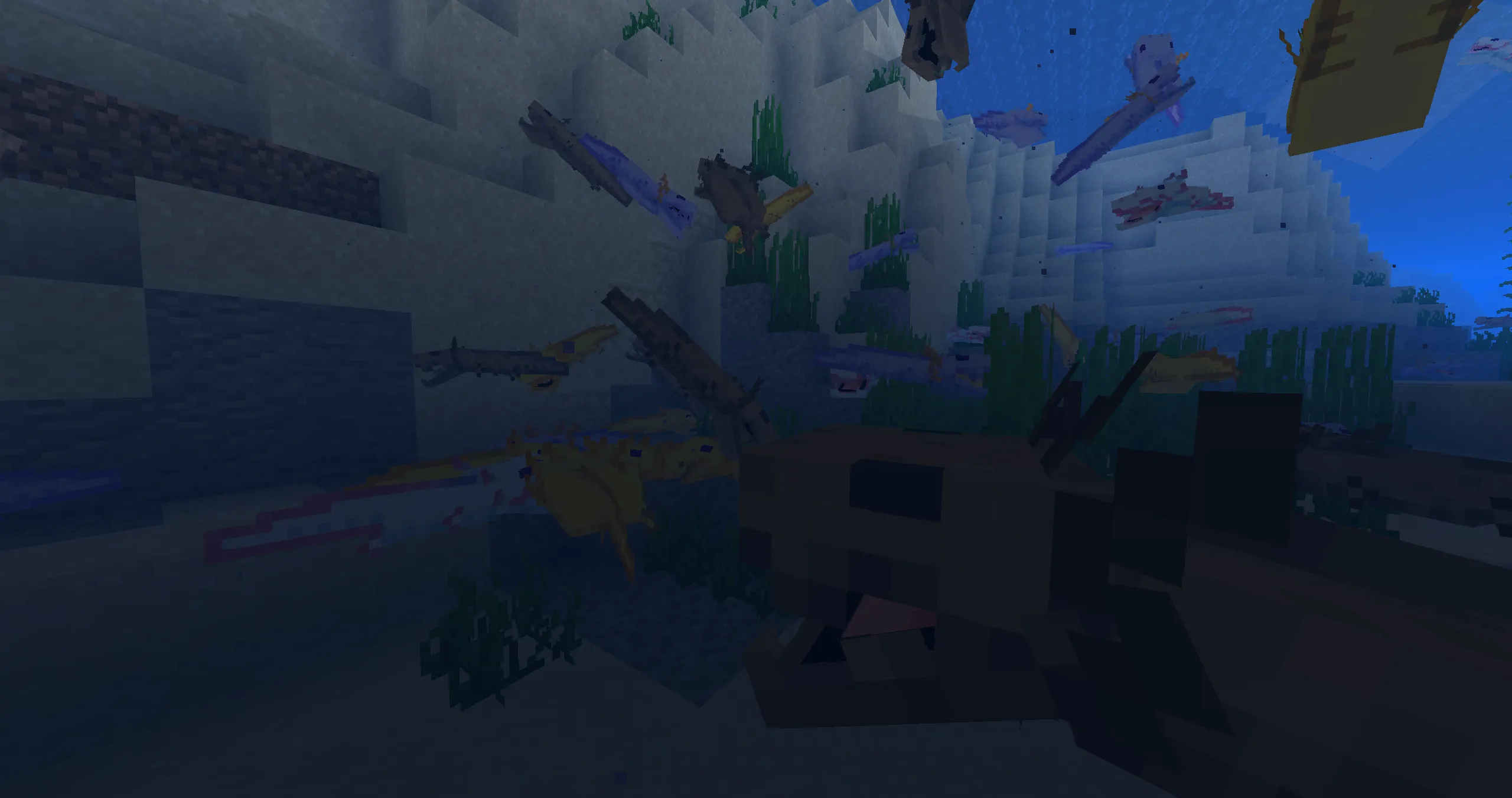 Shiny's Dracolotls, Текстуры, Minecraft