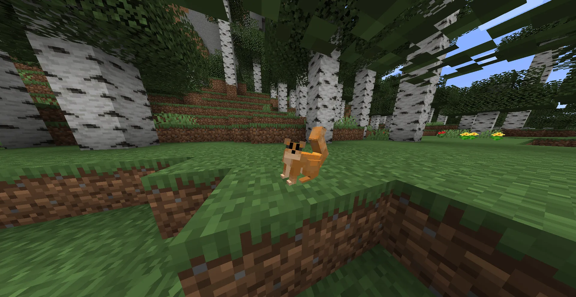 Warrior Cats Events, Моды, Minecraft