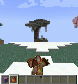 Shulker & Bundle, Моды, Minecraft