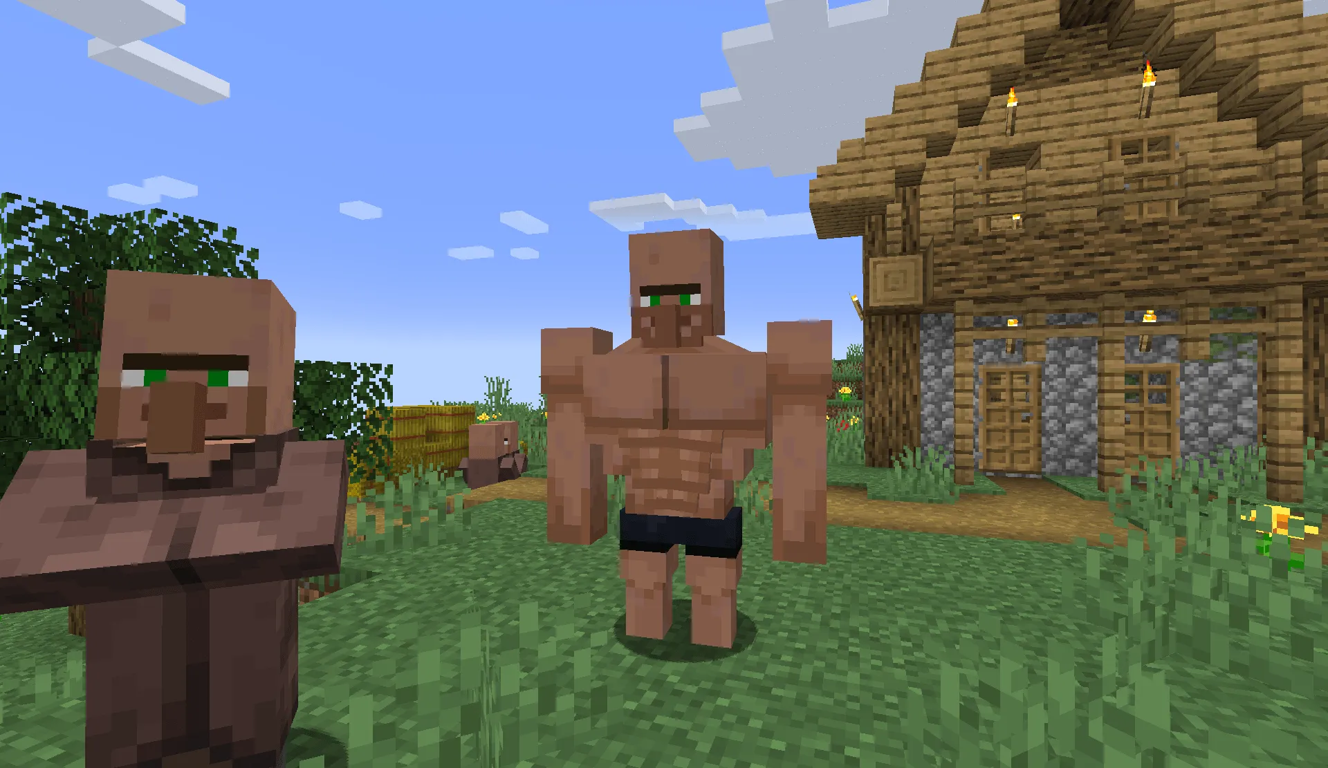 Gigachad Villager, Текстуры, Minecraft
