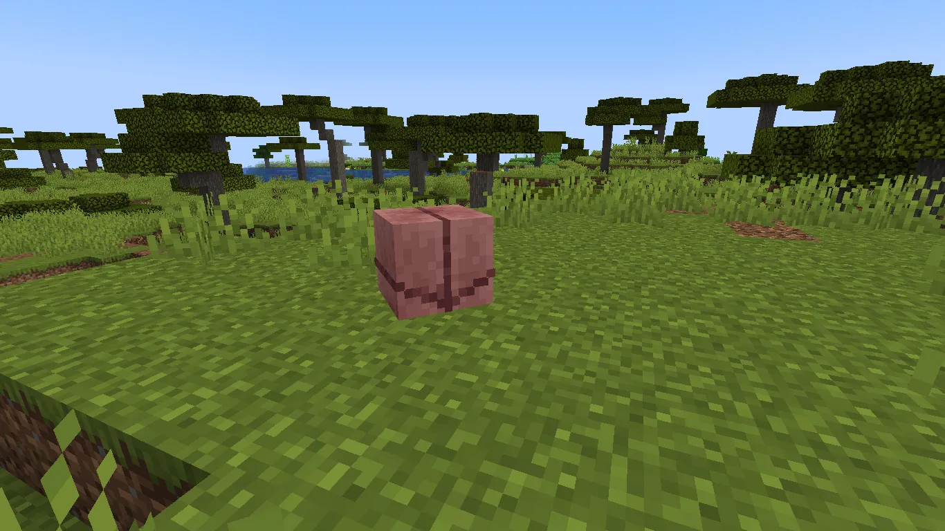 What did you scute for? — скриншот 2 (Текстуры, Minecraft)