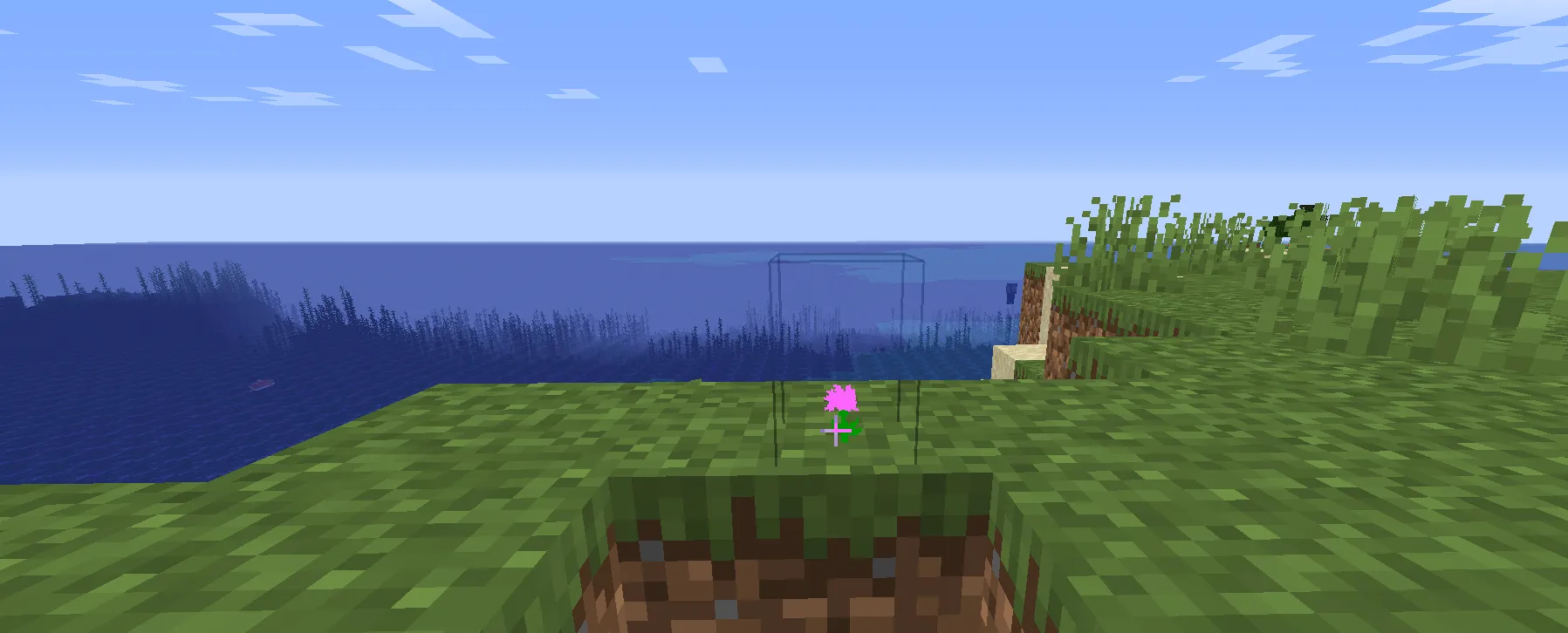 A Few More Flowers, Моды, Minecraft
