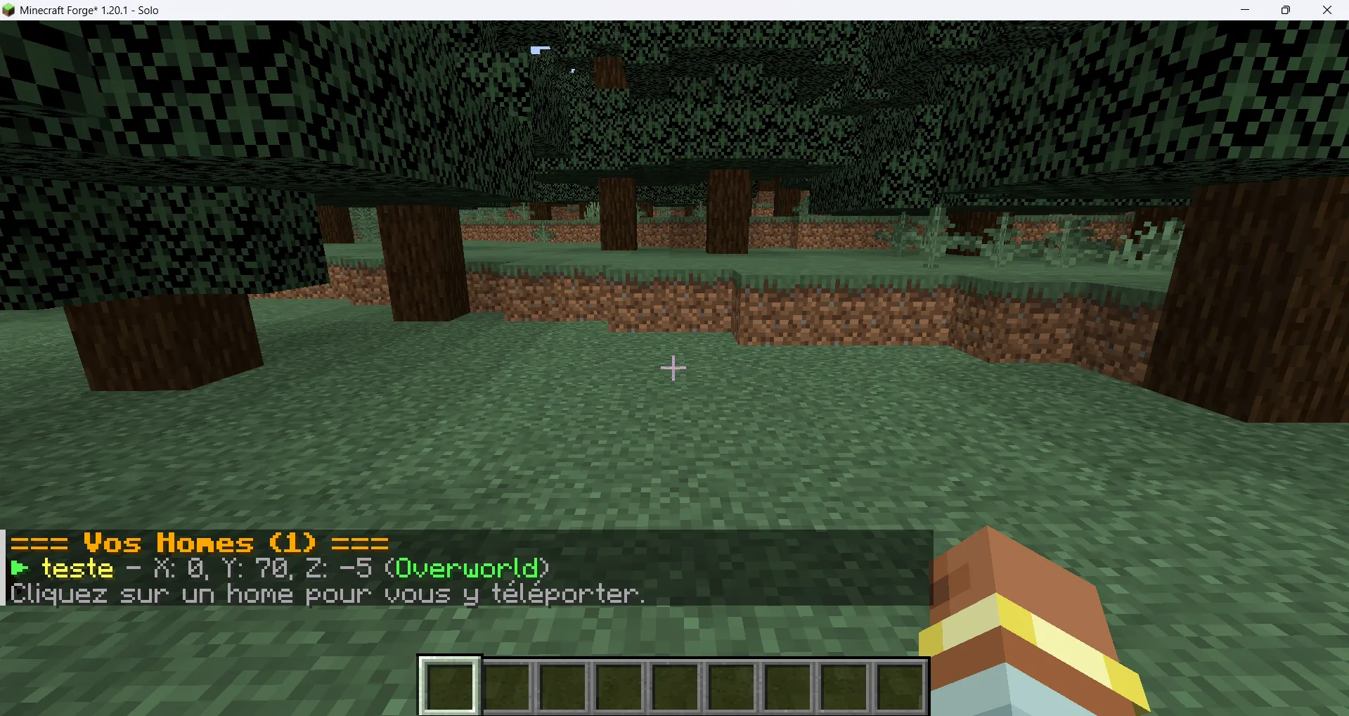 Set-Home Point — скриншот 5 (Моды, Minecraft)