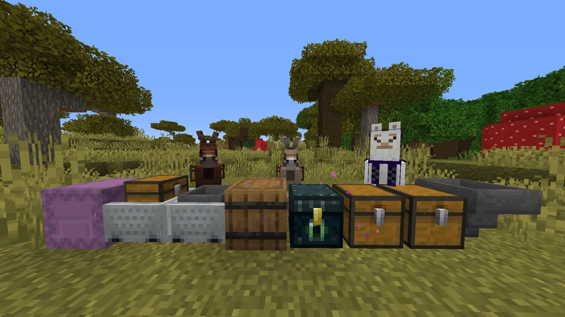 ChestLogger, Моды, Minecraft