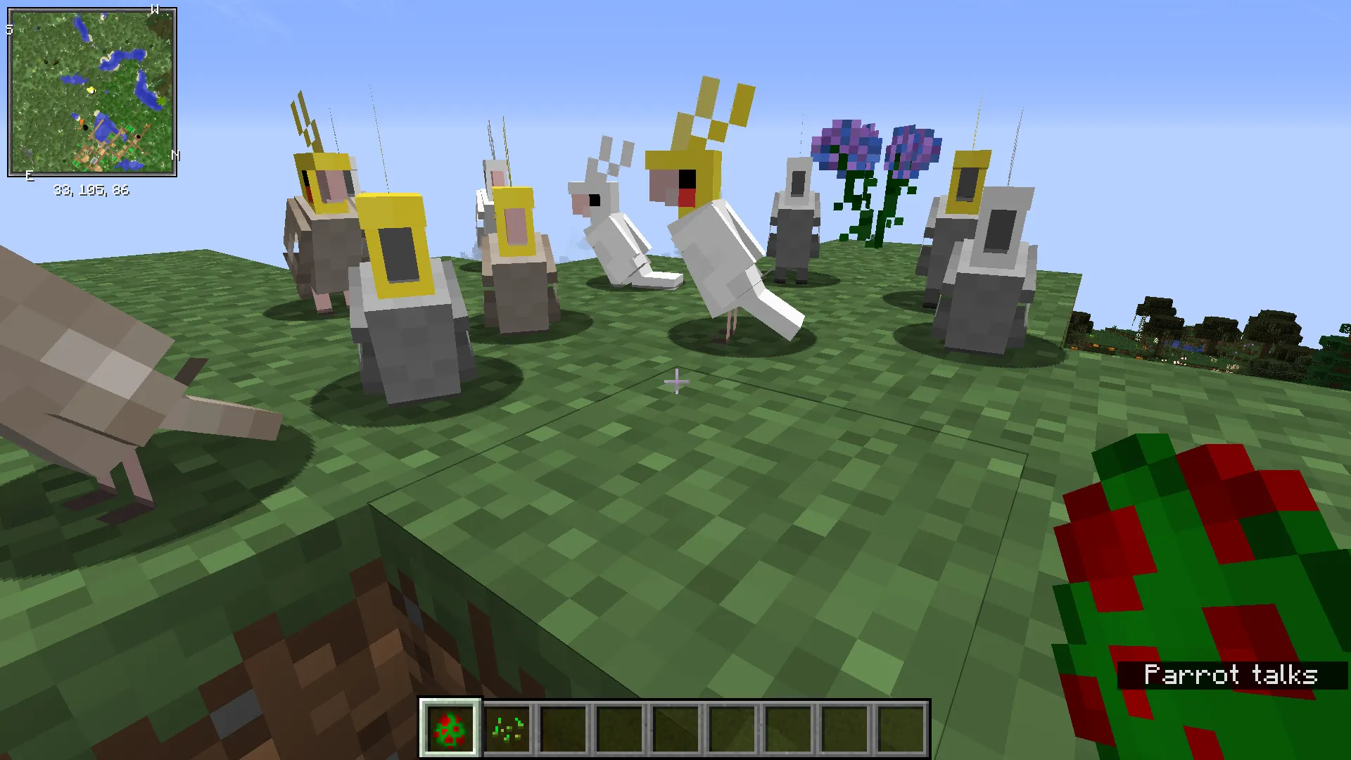 OOPS! All cockatiels(Now with sound!) — скриншот 3 (Текстуры, Minecraft)
