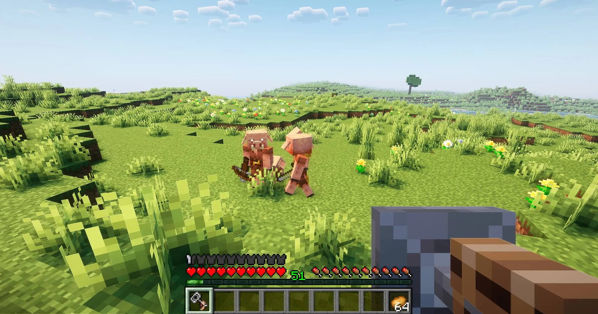 MovieСontent, Моды, Minecraft