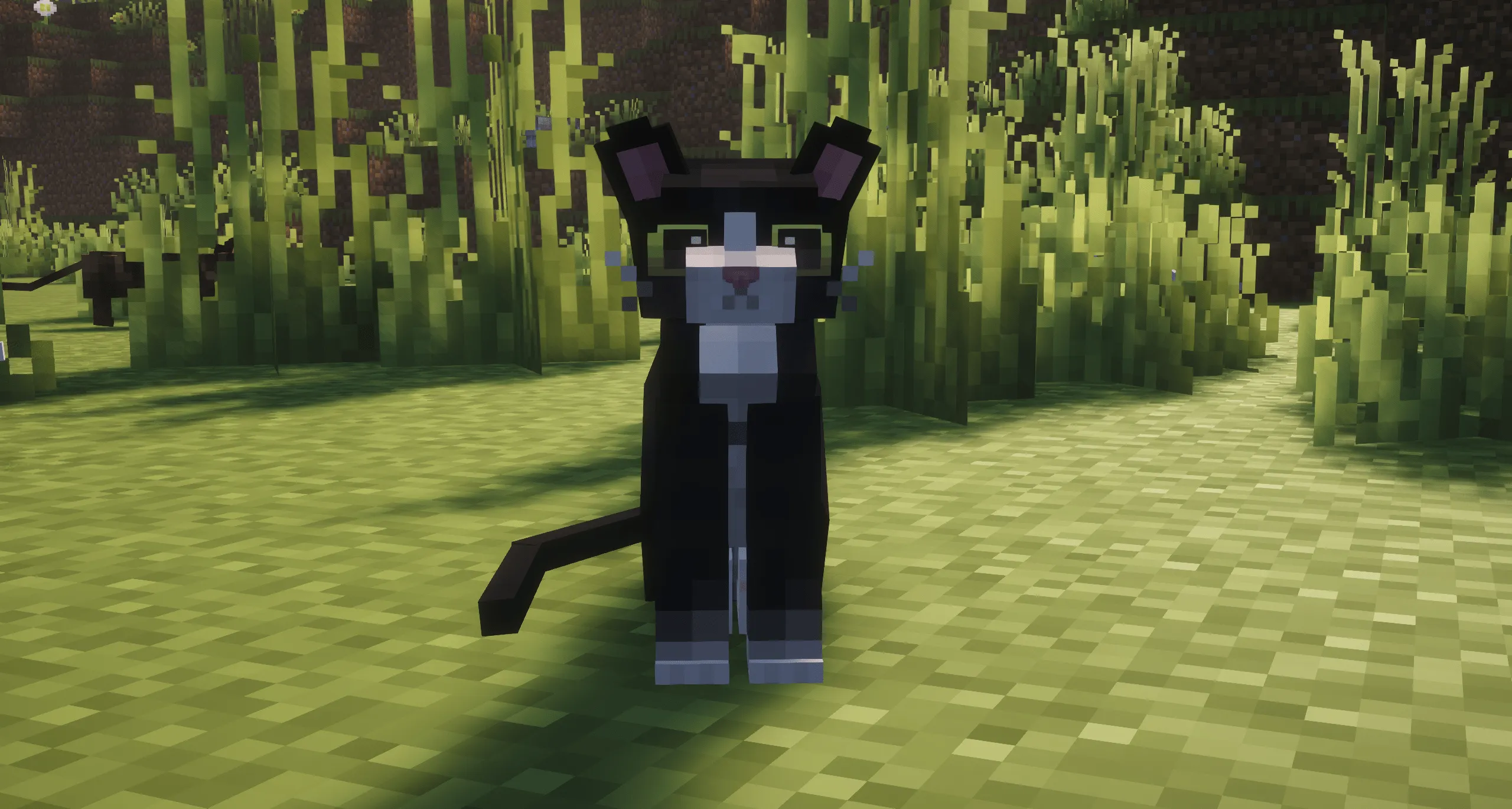 Refined Cats, Текстуры, Minecraft