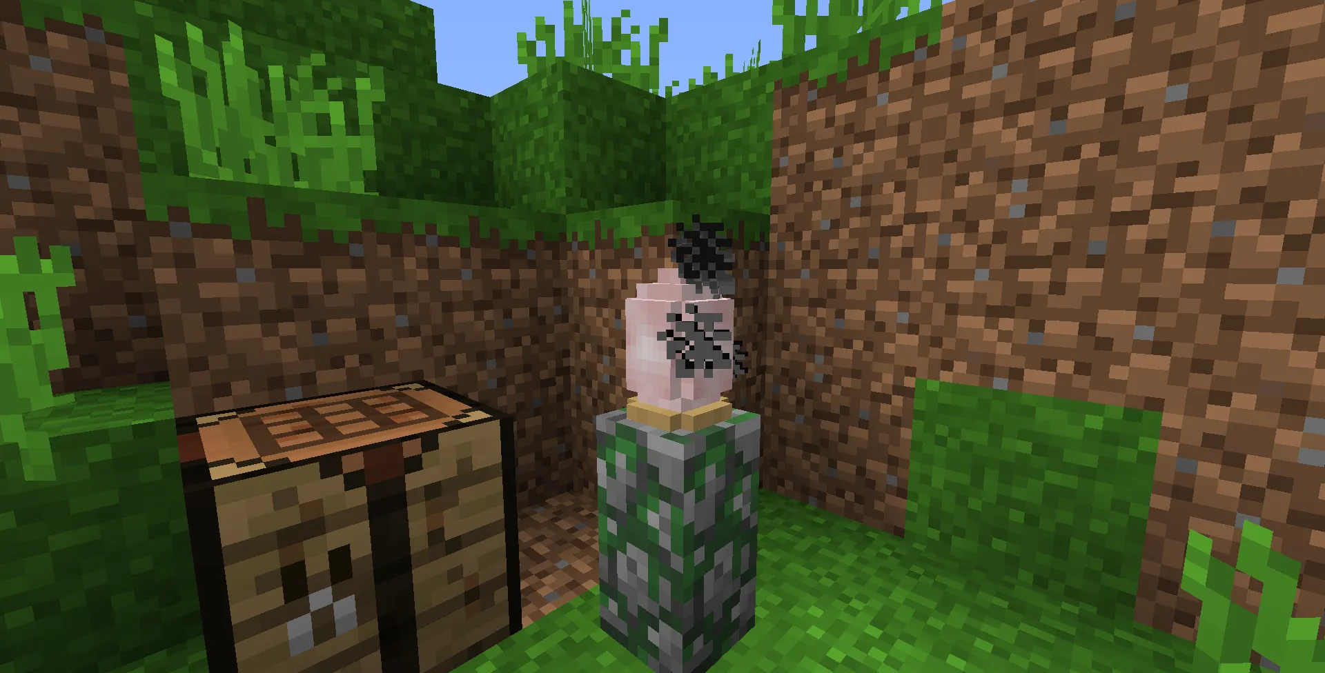 Salt Lamps, Моды, Minecraft
