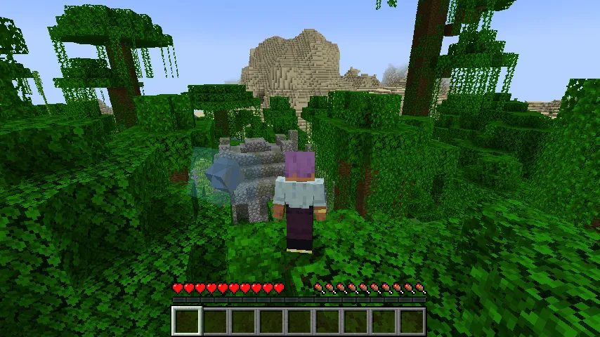 Specter Companion, Моды, Minecraft