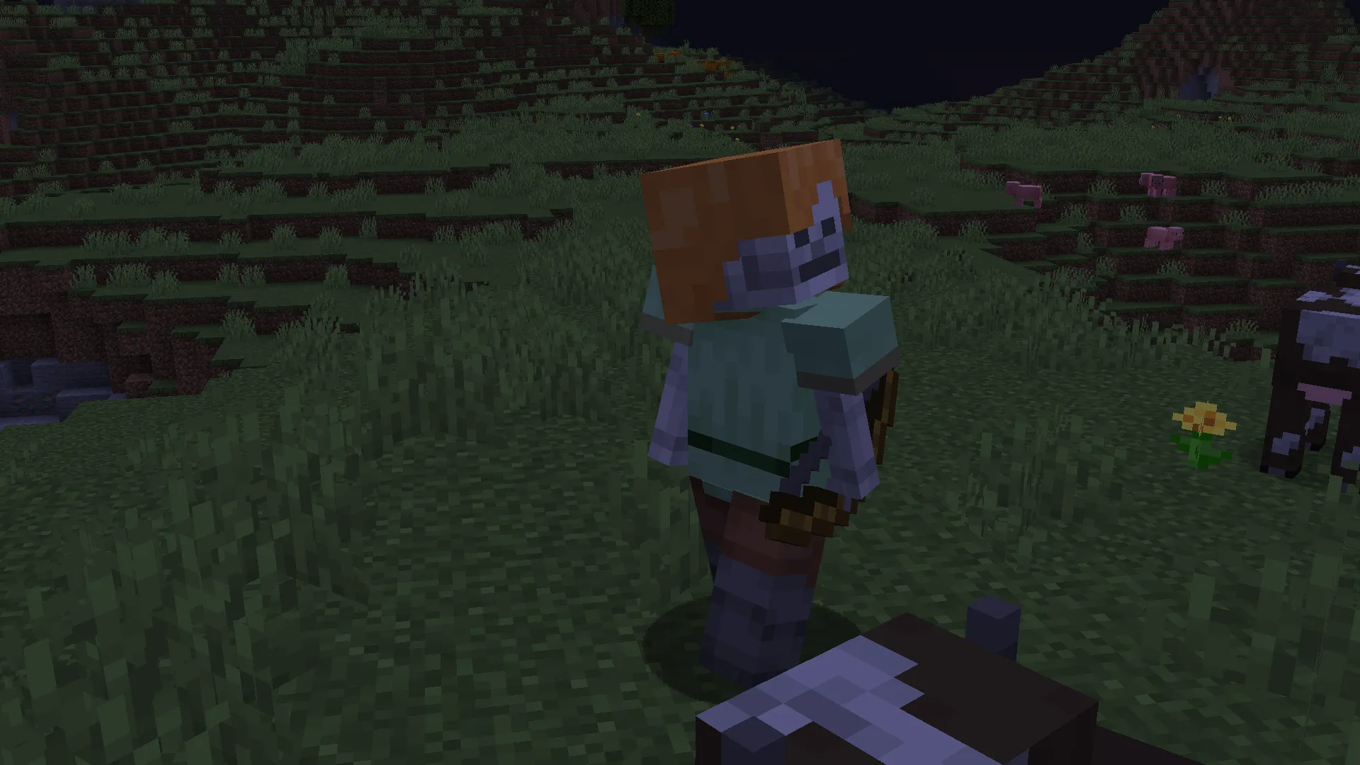 SFW Skeletons — скриншот 5 (Текстуры, Minecraft)