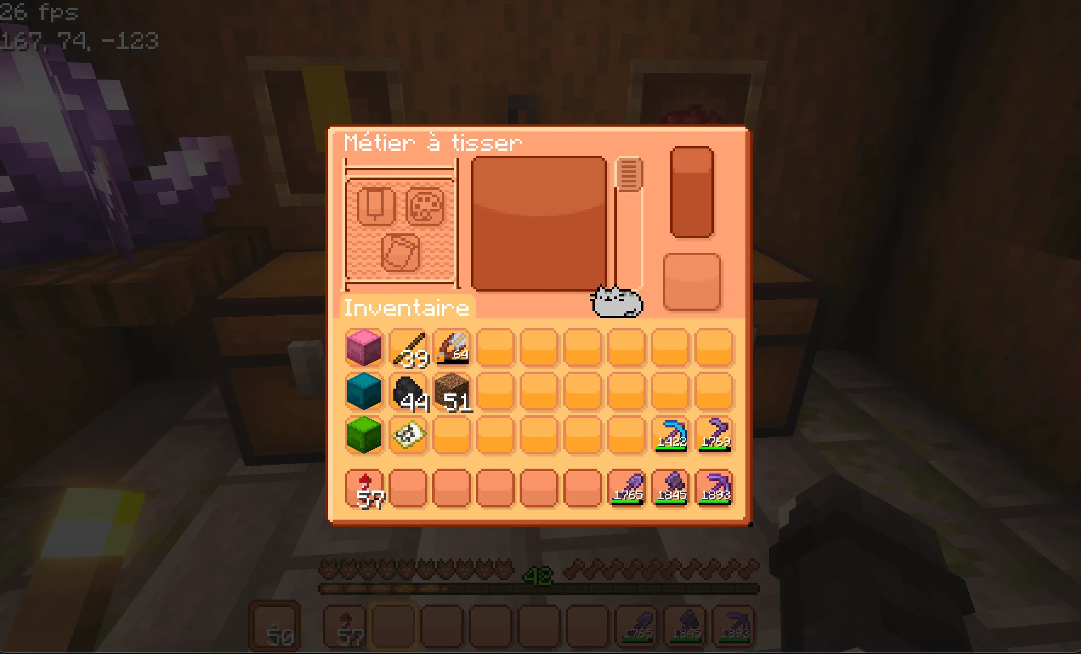 Pusheen GUI, Текстуры, Minecraft
