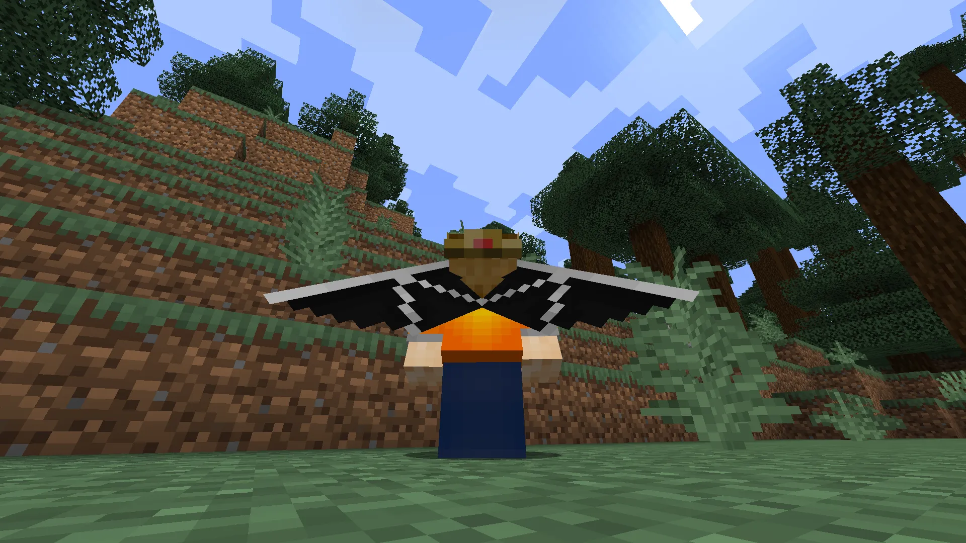 Cosmetic Elytra, Текстуры, Minecraft