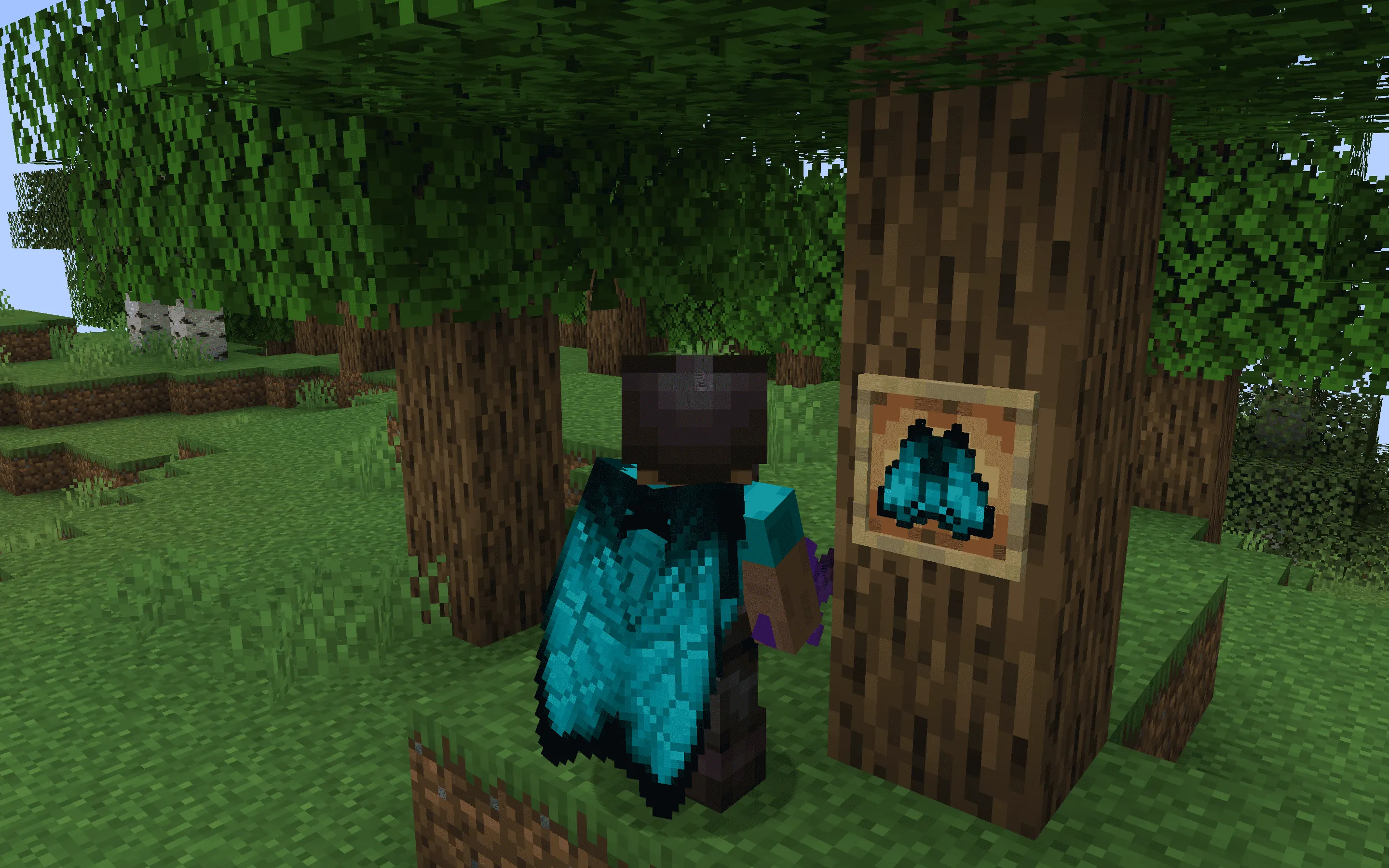 Butterfly Elytra - Better Wings, Текстуры, Minecraft