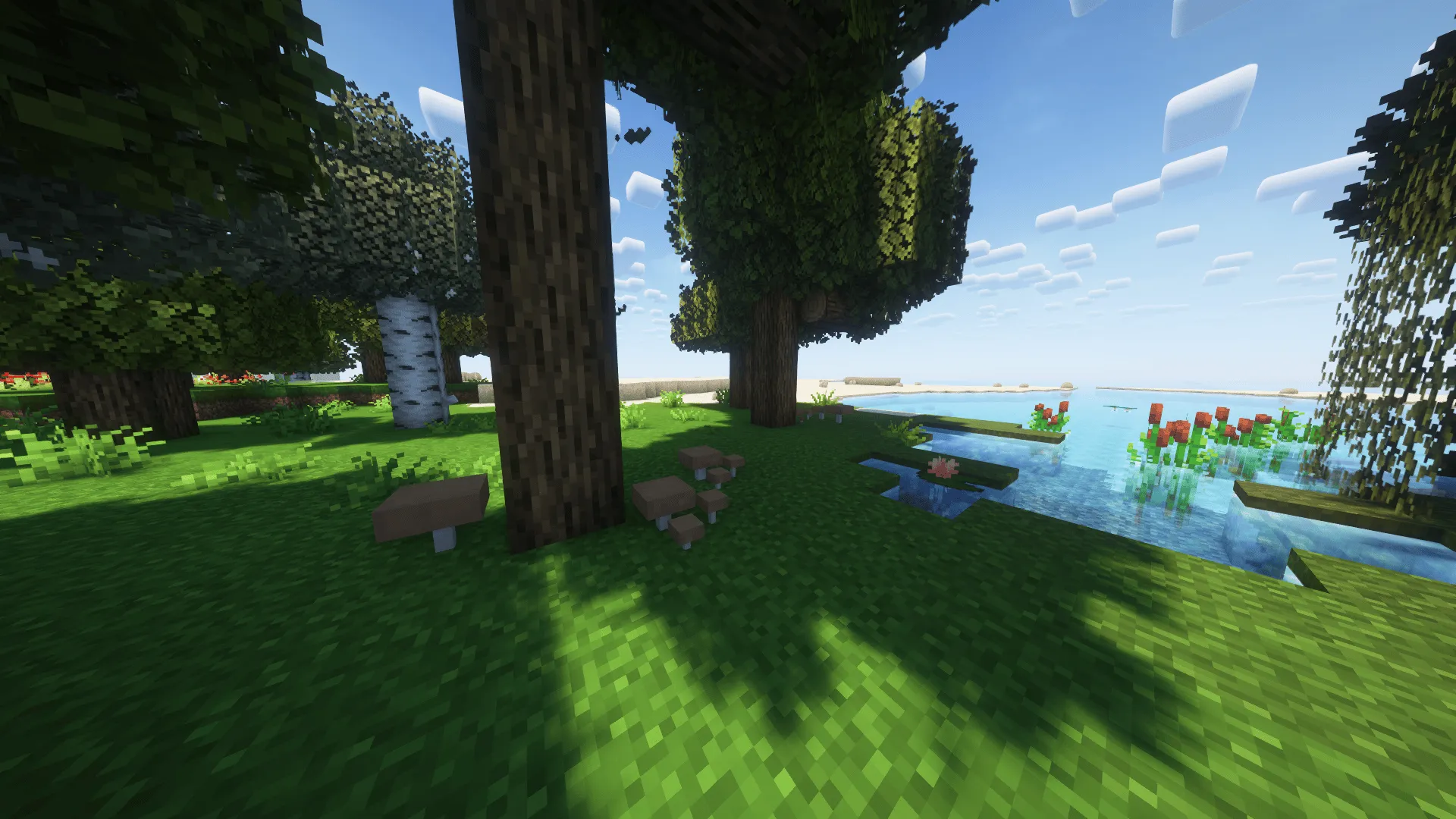 TrueTone, Текстуры, Minecraft