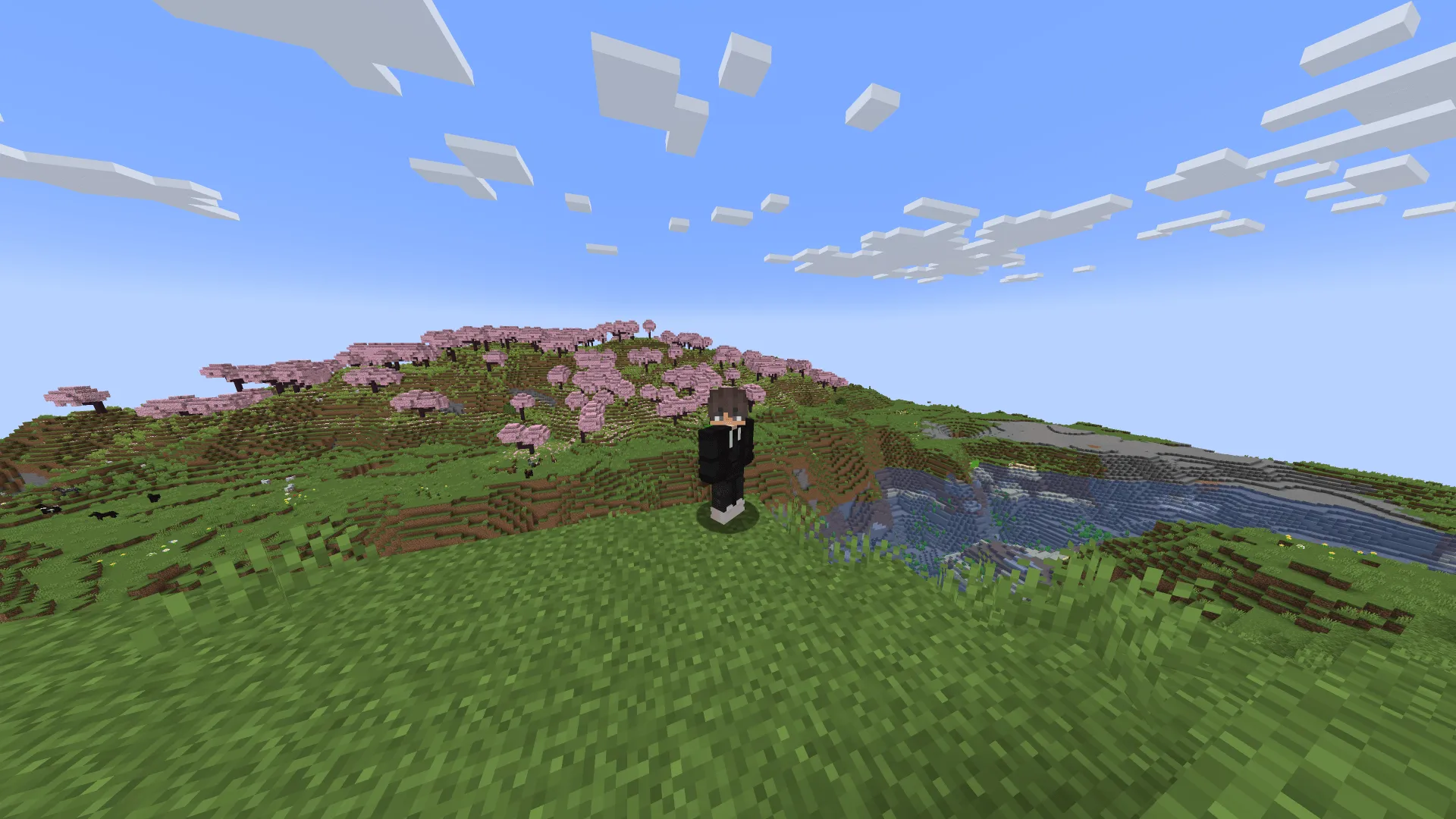 In-Game Player Skin Changer — скриншот 2 (Моды, Minecraft)