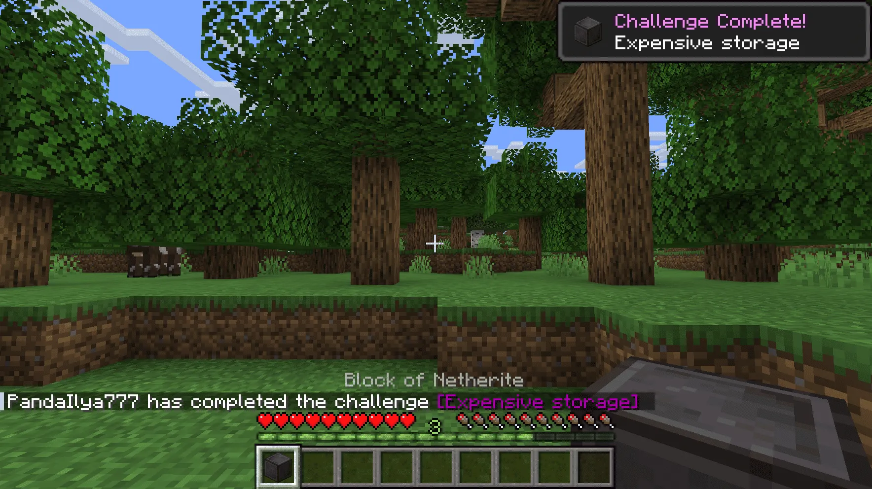 New Advancements Plus — скриншот 3 (Моды, Minecraft)
