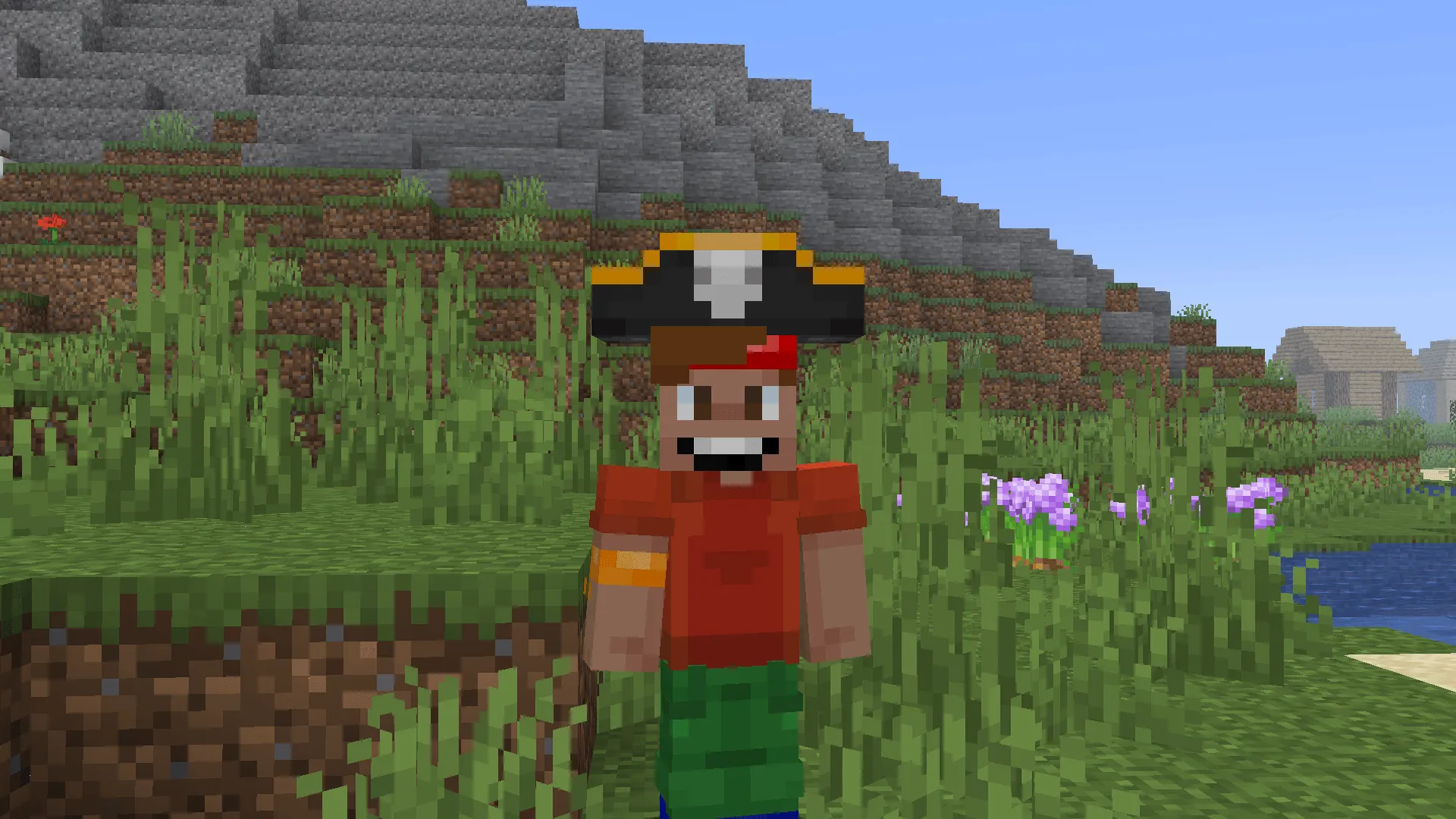 Wandering Hats, Моды, Minecraft