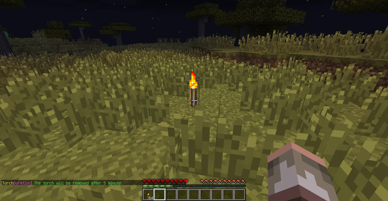 TorchDuration — скриншот 2 (Плагины, Minecraft)
