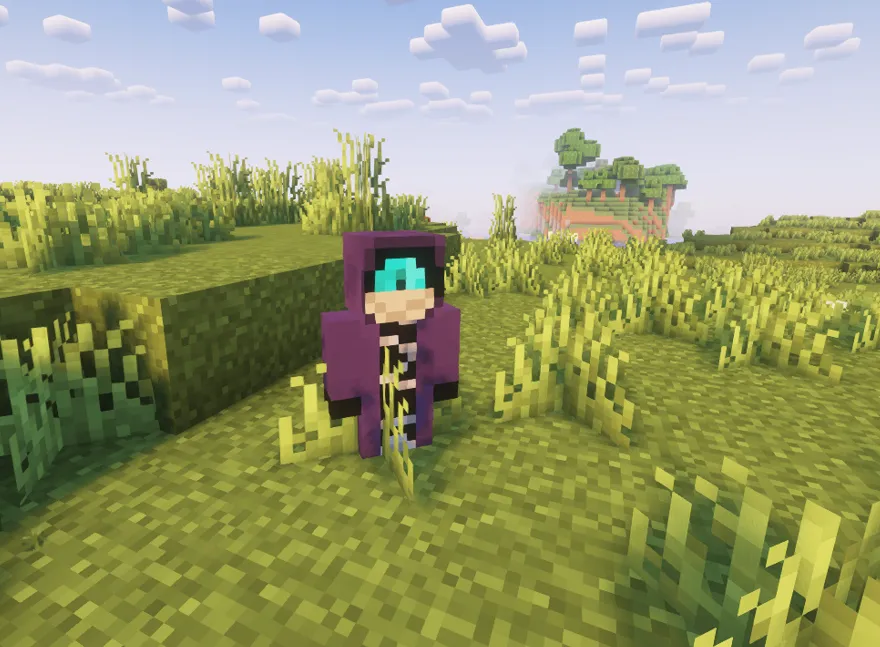 Forest Cult, Моды, Minecraft