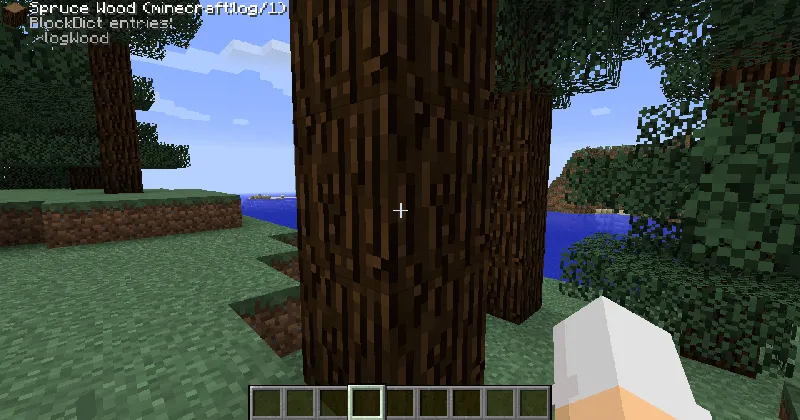 Block Display, Моды, Minecraft