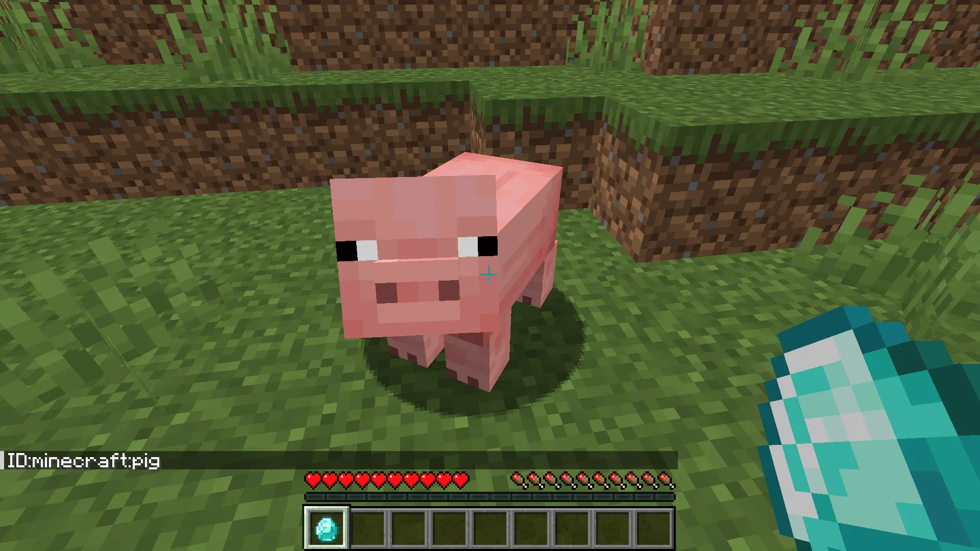 Kusamochi ID Scanner — скриншот 3 (Моды, Minecraft)