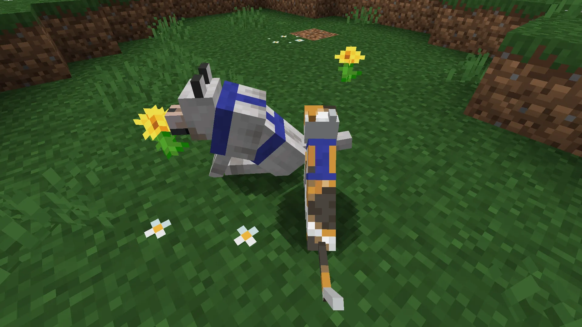 Harness for dogs and cats — скриншот 2 (Текстуры, Minecraft)