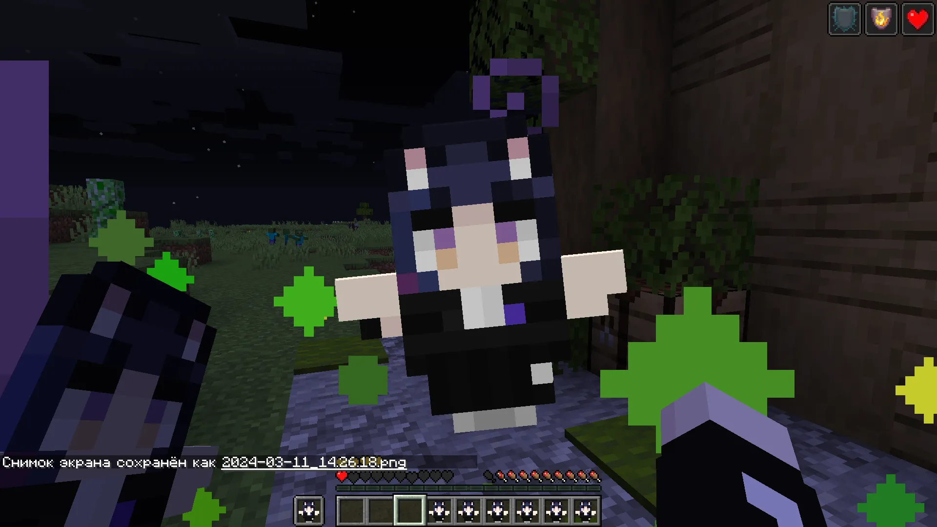 Soneru - Totem item — скриншот 2 (Текстуры, Minecraft)