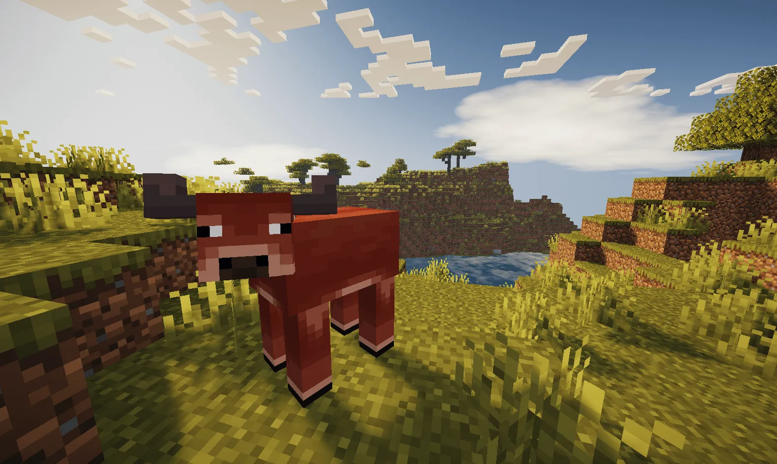 Spring Drop [1.20++ Backport], Моды, Minecraft