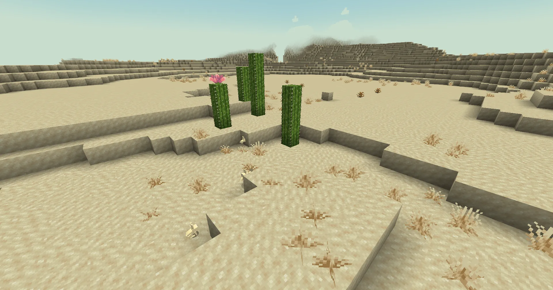 Good Lookin' Ground, Текстуры, Minecraft