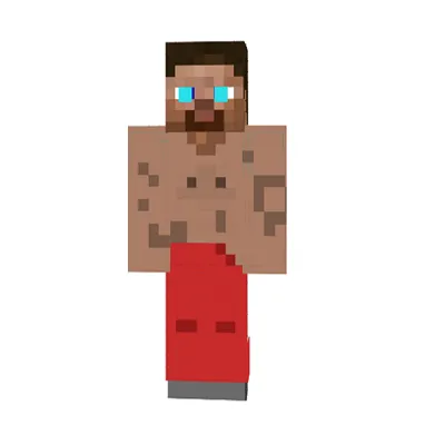 New Skins!, Кастомизации, Minecraft