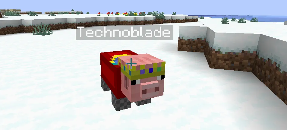 Technoblade PIg Nametag, Текстуры, Minecraft