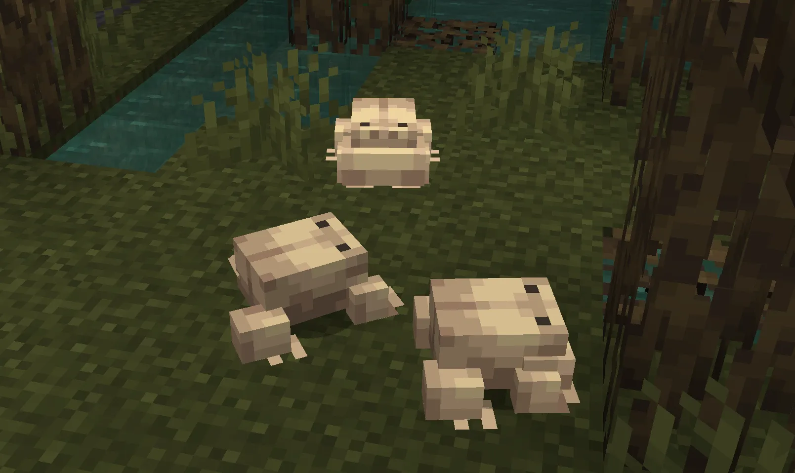 Wednesday Frog, Текстуры, Minecraft