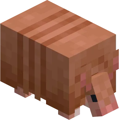 Varied Armadillos, Текстуры, Minecraft