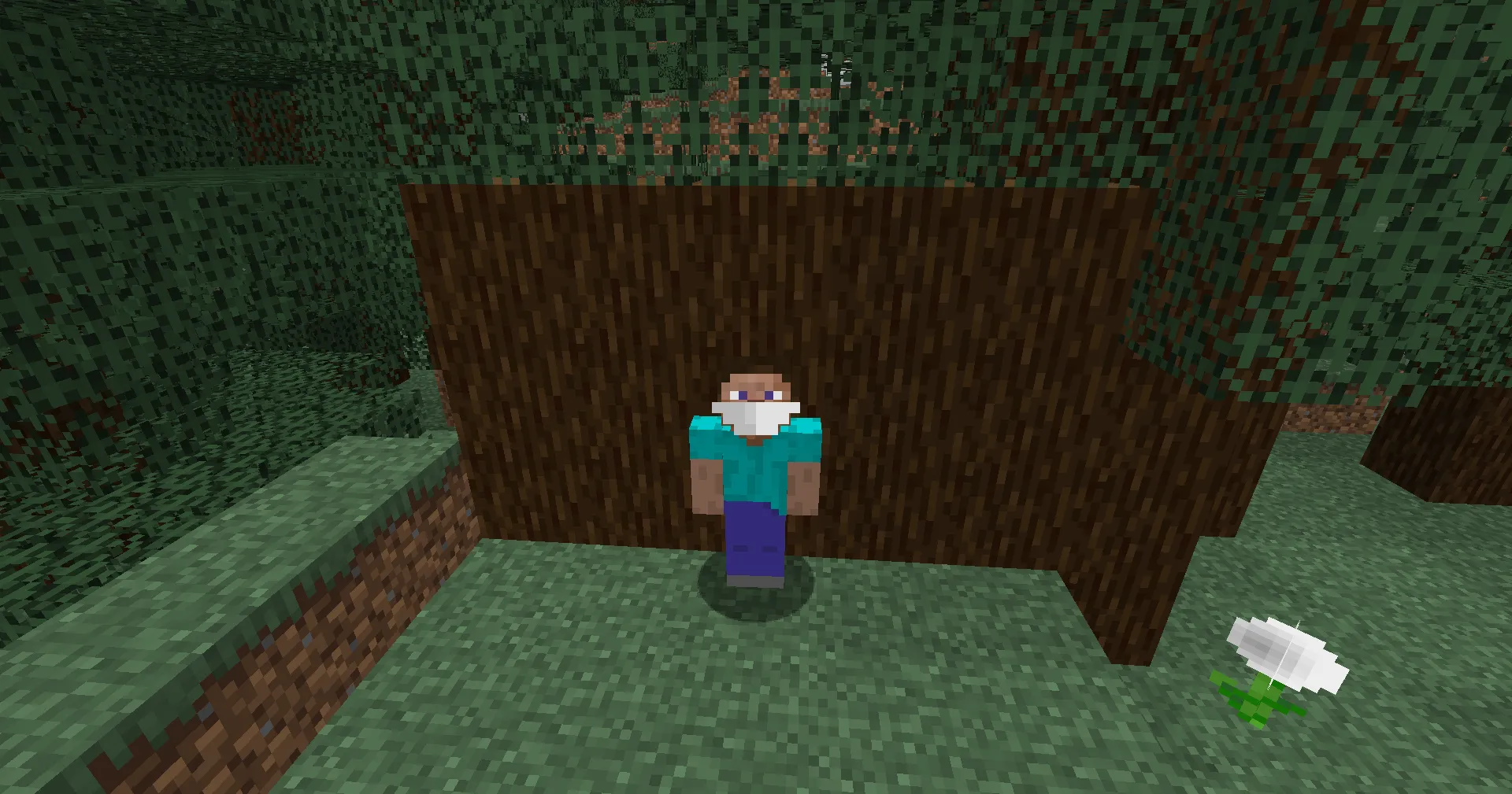 Dusk's Face Masks, Моды, Minecraft