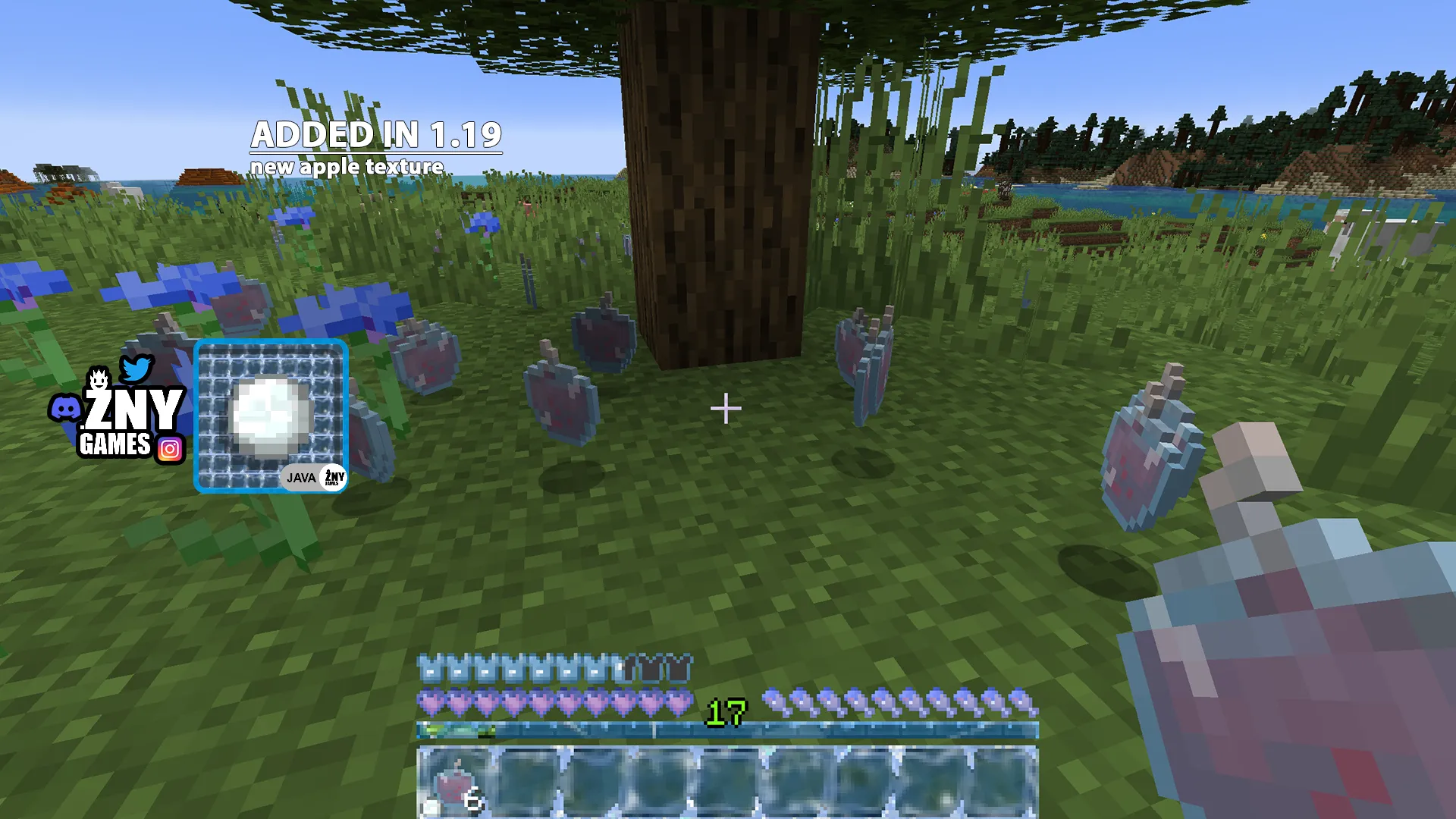 FROZEN, Текстуры, Minecraft