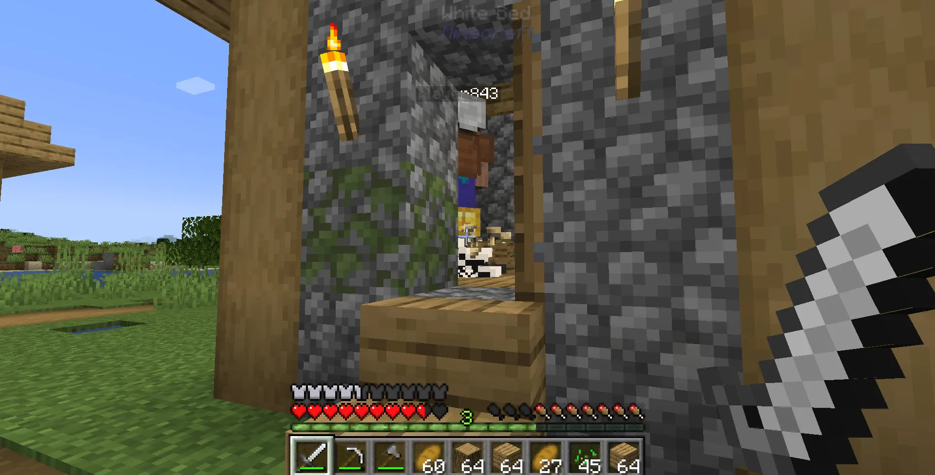 Undefined Lost World (Official)(DISCONTINUED), Моды, Minecraft