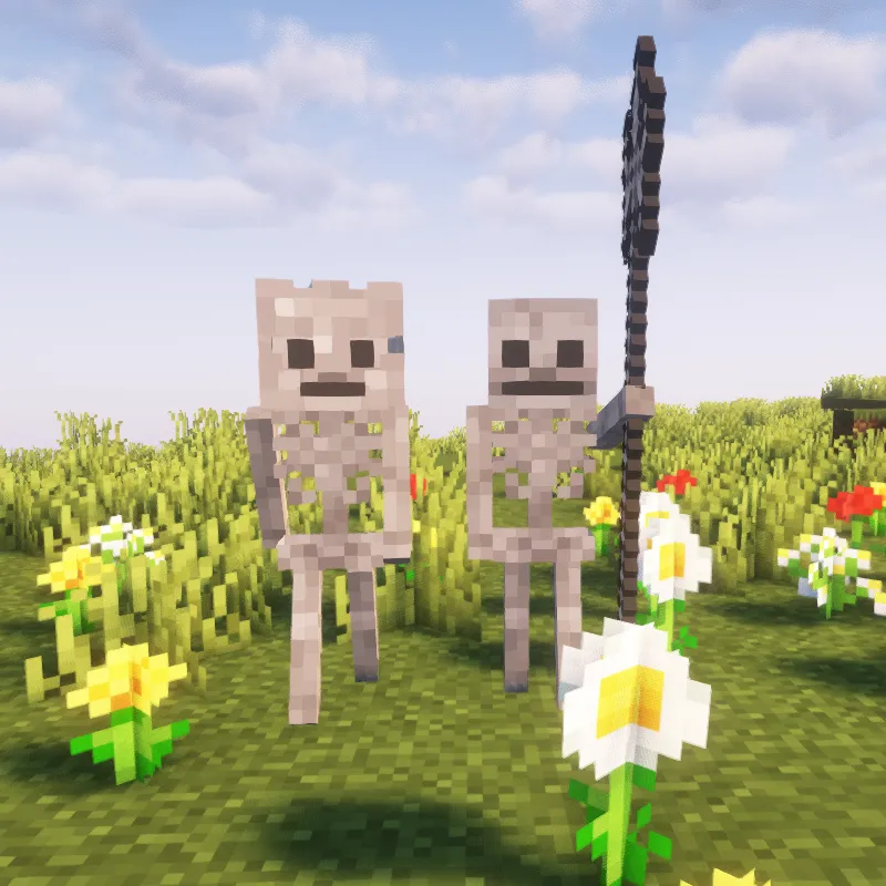 Skelly & Bones, Моды, Minecraft